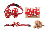 WDM126P- Charming pet collar - WDM Promos